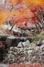 中国足球彩票比分直播-中国足球彩票比分直播，科技赋能，让激情与理性共舞